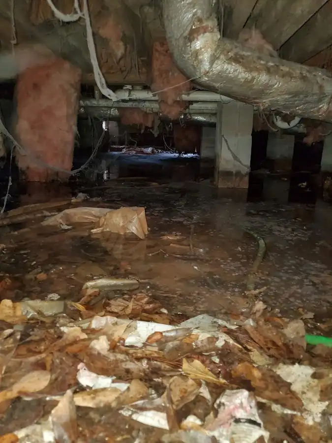 Crawl space flood assessment for Leak Detection & Repair in Northfield