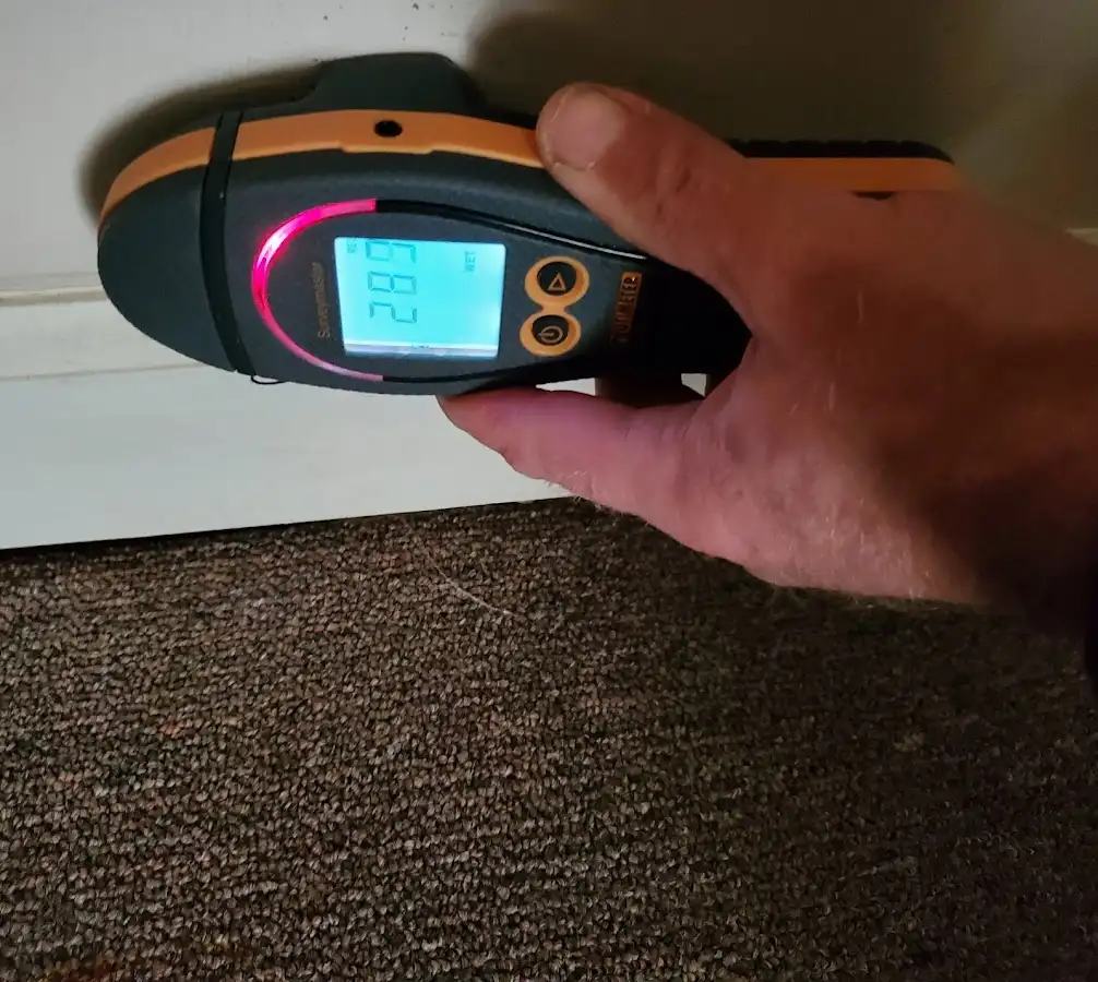 Moisture detection at baseboard during Sewage Cleanup & Sanitation in Northfield